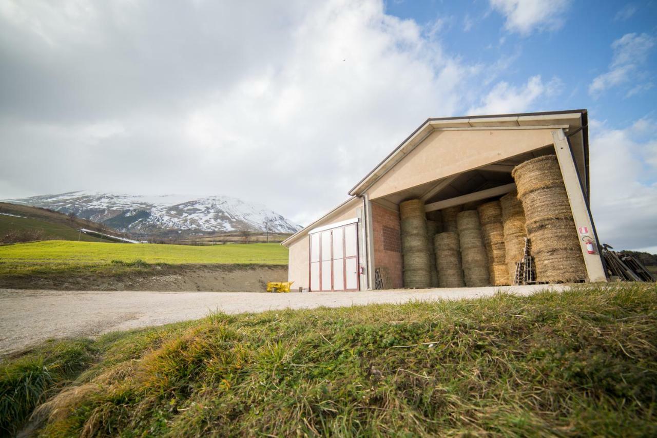 La Fattoria Dei Sibillini Villa มอนเตมอนาโก ภายนอก รูปภาพ